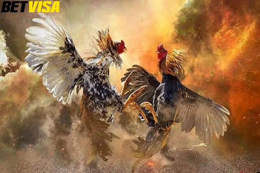 Ưu điểm vượt trội có ở sảnh đá gà